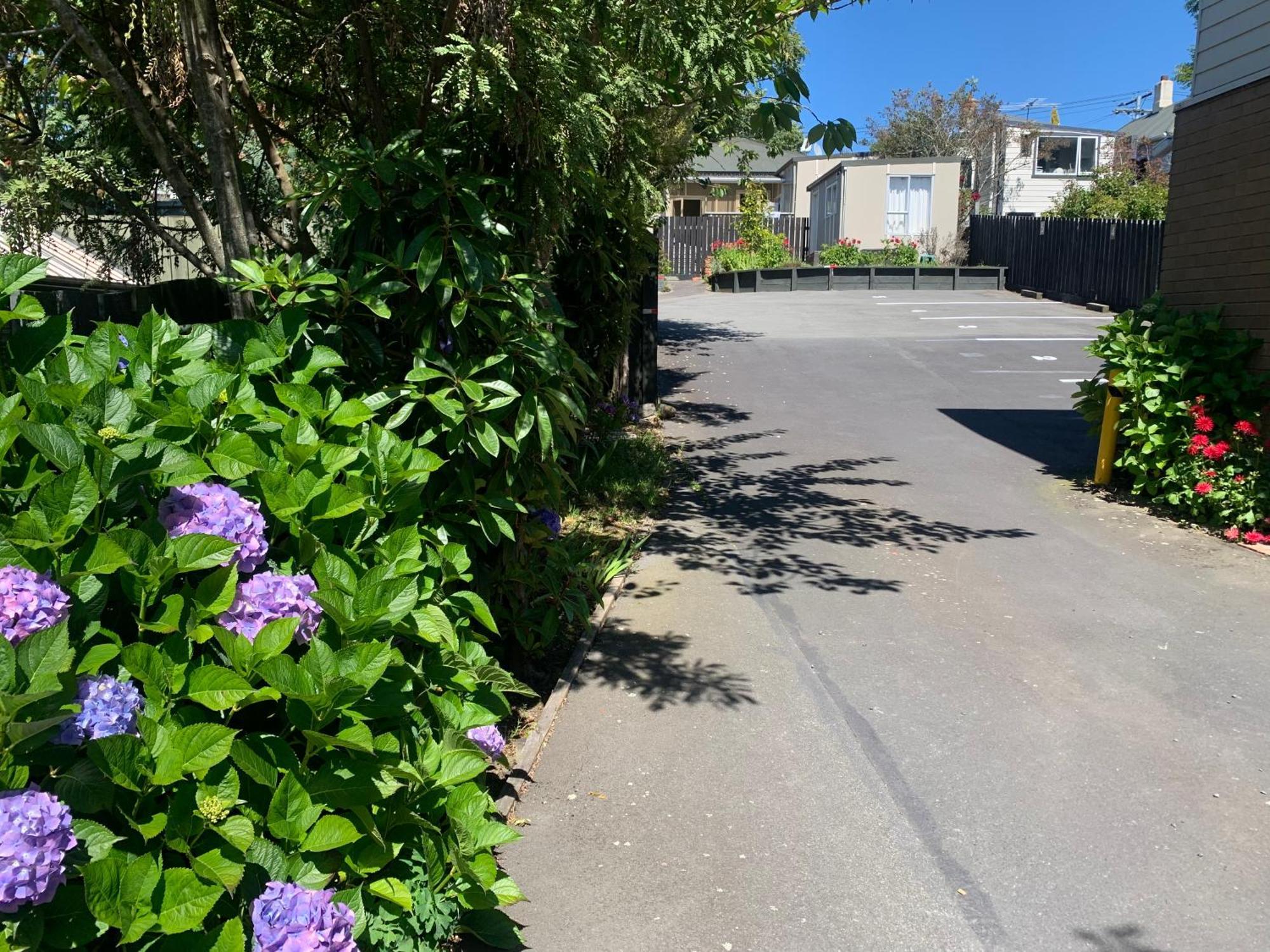 דנידין March Apartments מראה חיצוני תמונה